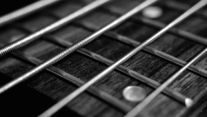 Image of Charmaine Neville Band