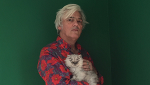 Image of Robyn Hitchcock